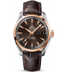 Replica Omega Seamaster Aqua Terra Annual Calendar 231.20.39.22.06.001