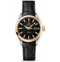 Replica Omega Seamaster Aqua Terra Automatic 231.23.34.20.01.001